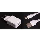 Зарядка USBх2 / 5V 2.1A + кабель Lightning белый для Apple iPhone 12 Pro Max (A2412)