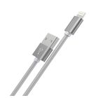 Кабель Lightning - USB-A 2.0 / 1m / HOCO для Apple iPhone 5S (A1533)