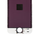 Модуль (дисплей + тачскрин) белый для Apple iPhone 5S (A1453)
