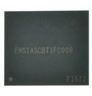 EMS1ASCBT1FC008 Микросхема