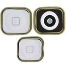 Кнопка HOME (толкатель) / белый для Apple iPhone 5 (A1442)