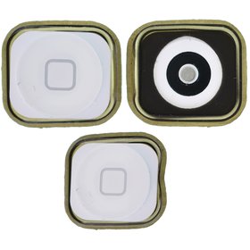 Кнопка HOME (толкатель) / белый для Apple iPhone 5 (A1429)